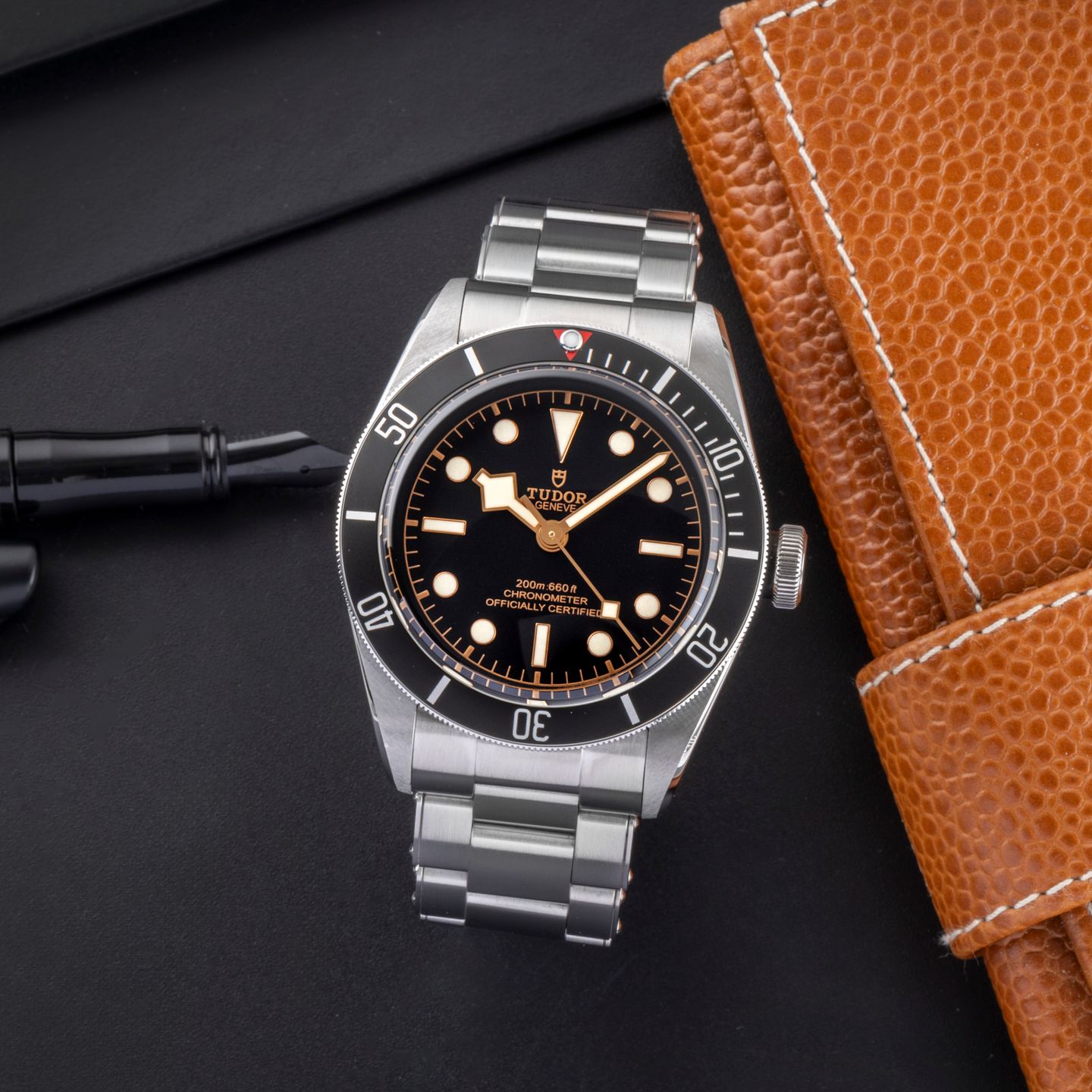 Tudor Black Bay 79230N - (1/8)