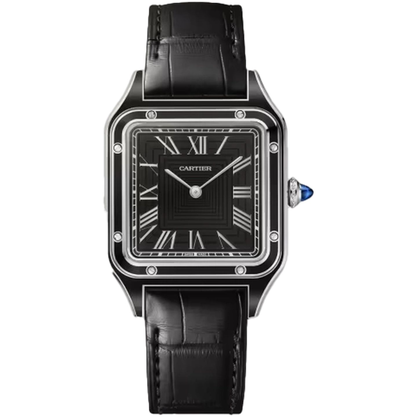 Cartier Santos Dumont WSSA0046 - (1/1)