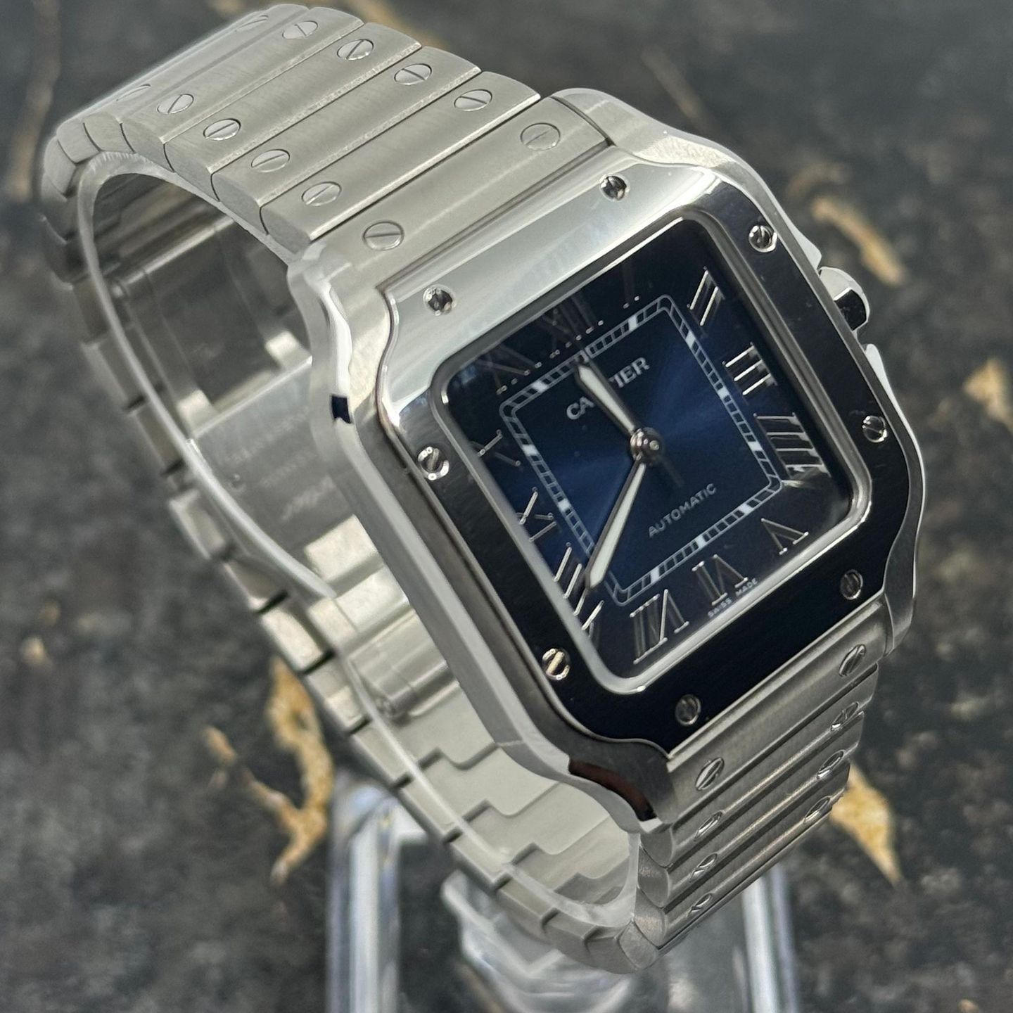 Cartier Santos WSSA0063 - (8/8)