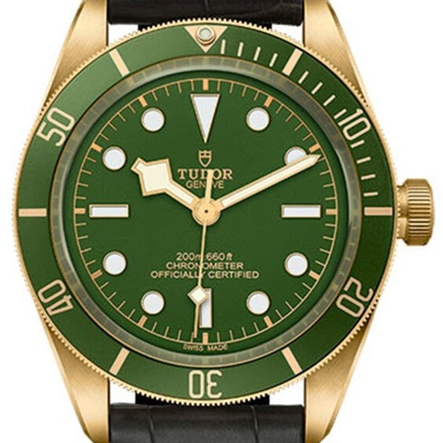 Tudor Black Bay Fifty-Eight 79018V (2026) - Brown dial 39 mm Yellow Gold case (1/1)