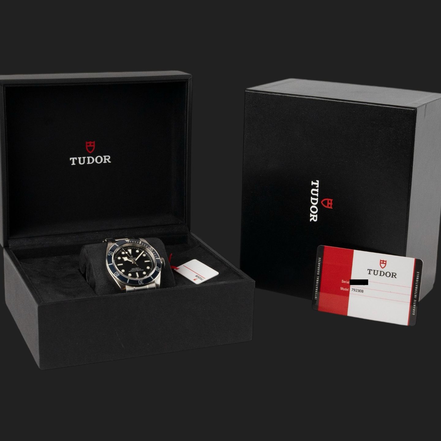 Tudor Black Bay 79230B - (8/8)