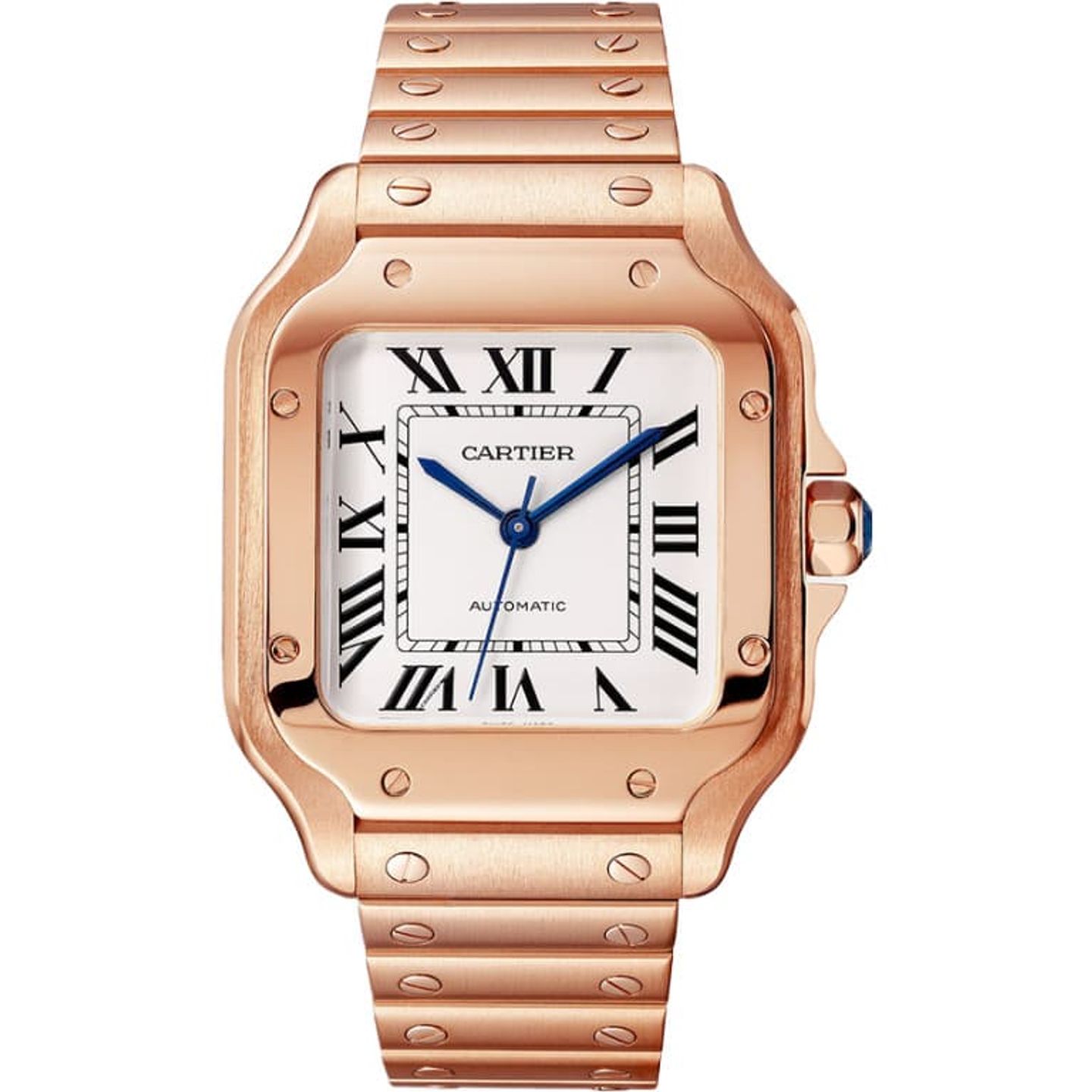 Cartier Santos WGSA0031 - (1/1)