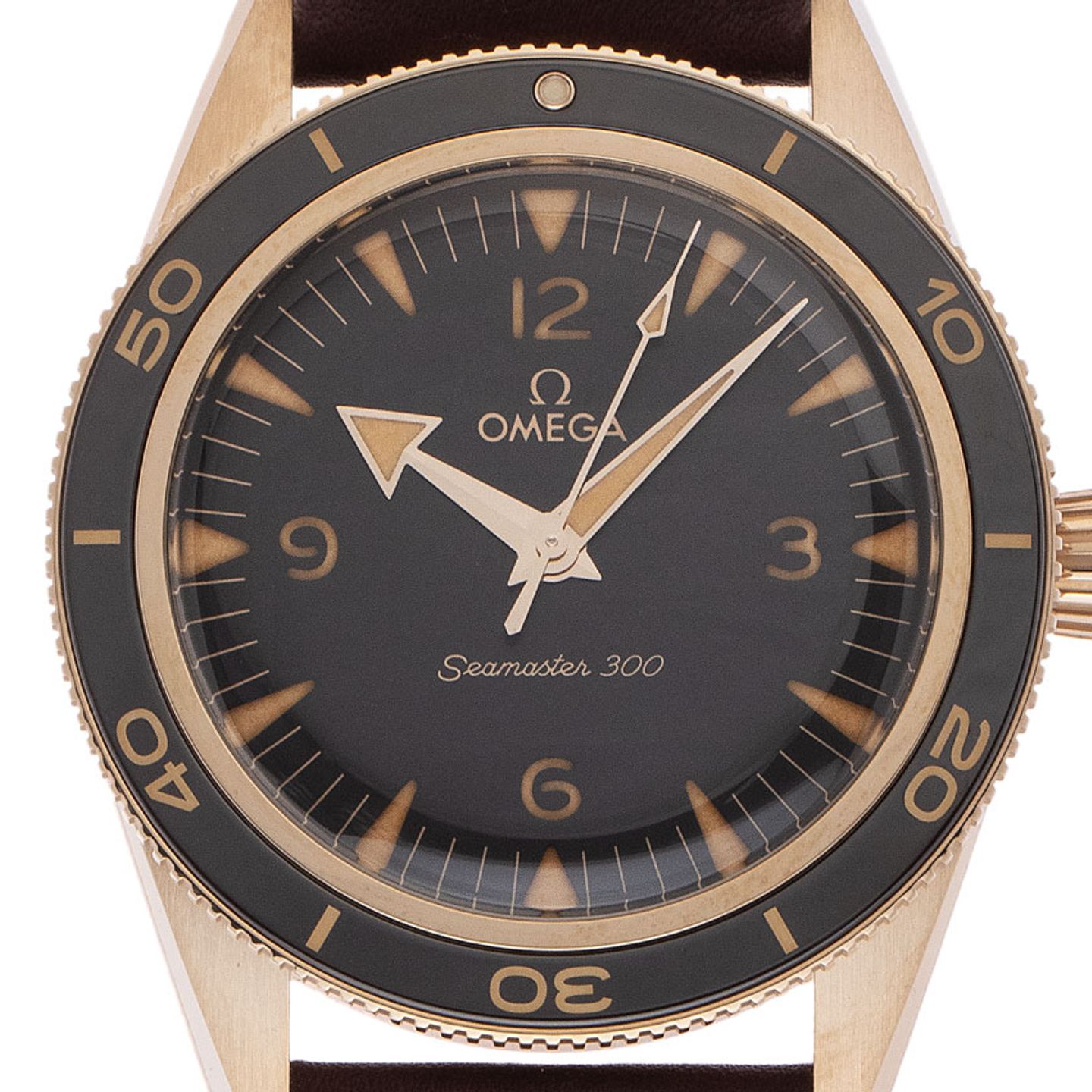 Omega Seamaster 300 234.92.41.21.10.001 - (1/6)