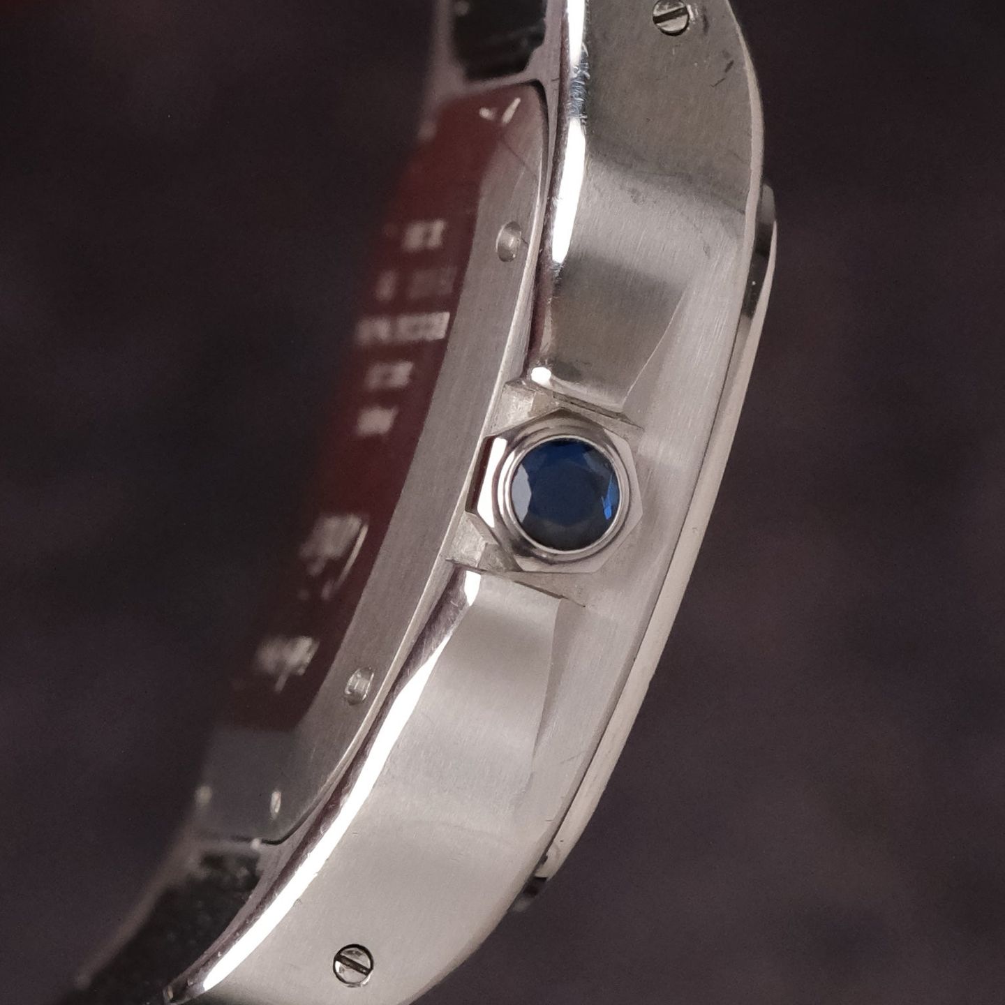 Cartier Santos 100 W20126X8 - (4/5)