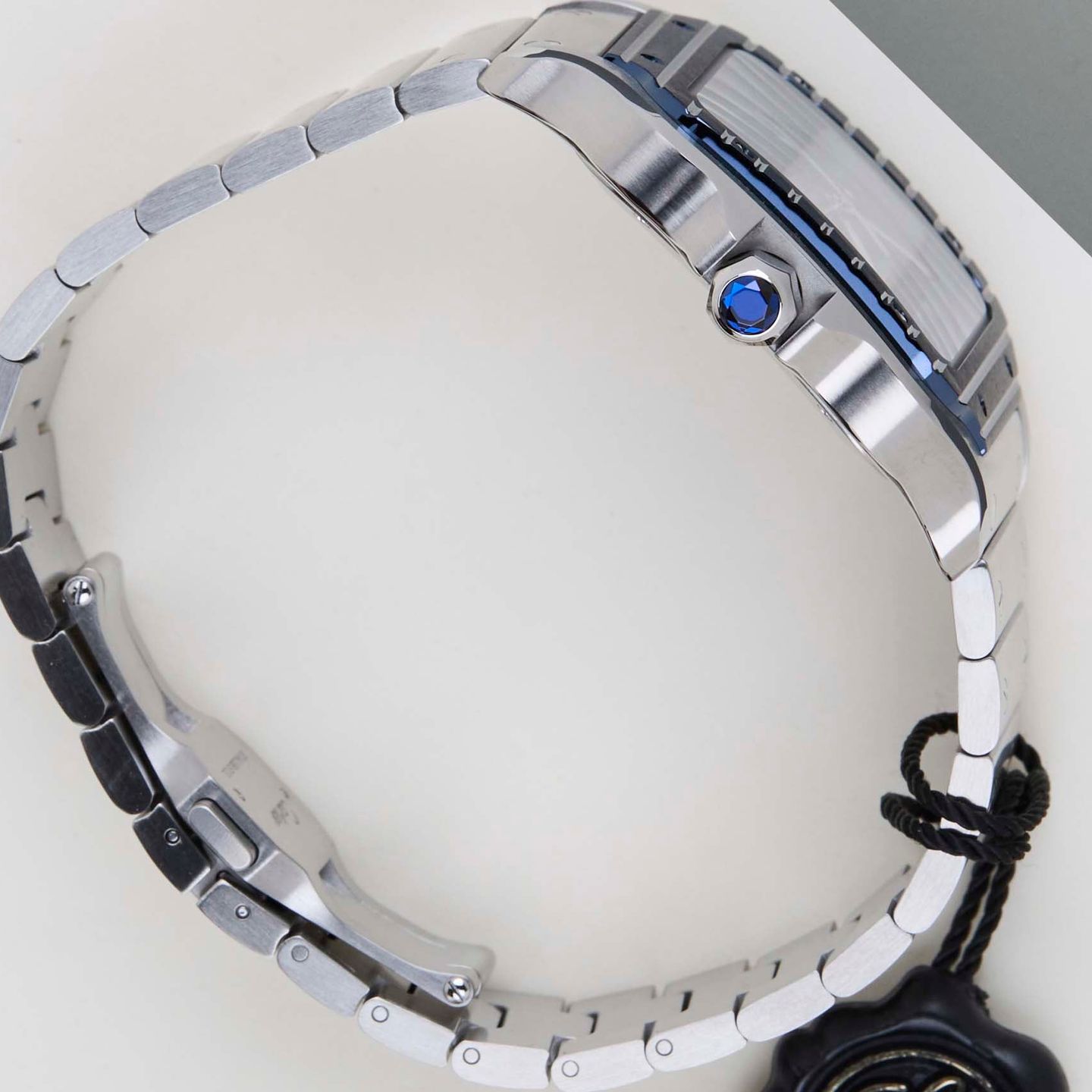 Cartier Santos WSSA0048 - (8/8)