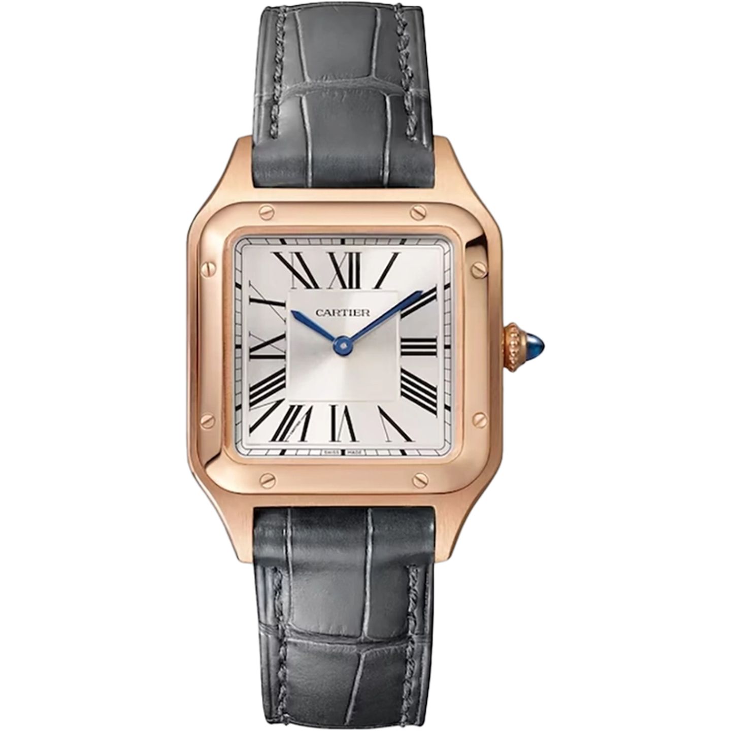 Cartier Santos Dumont WGSA0117 - (1/1)