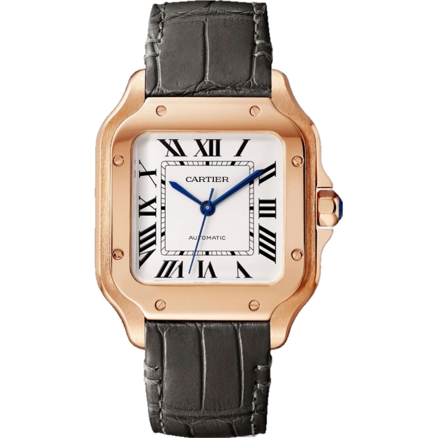 Cartier Santos WGSA0028 - (1/1)