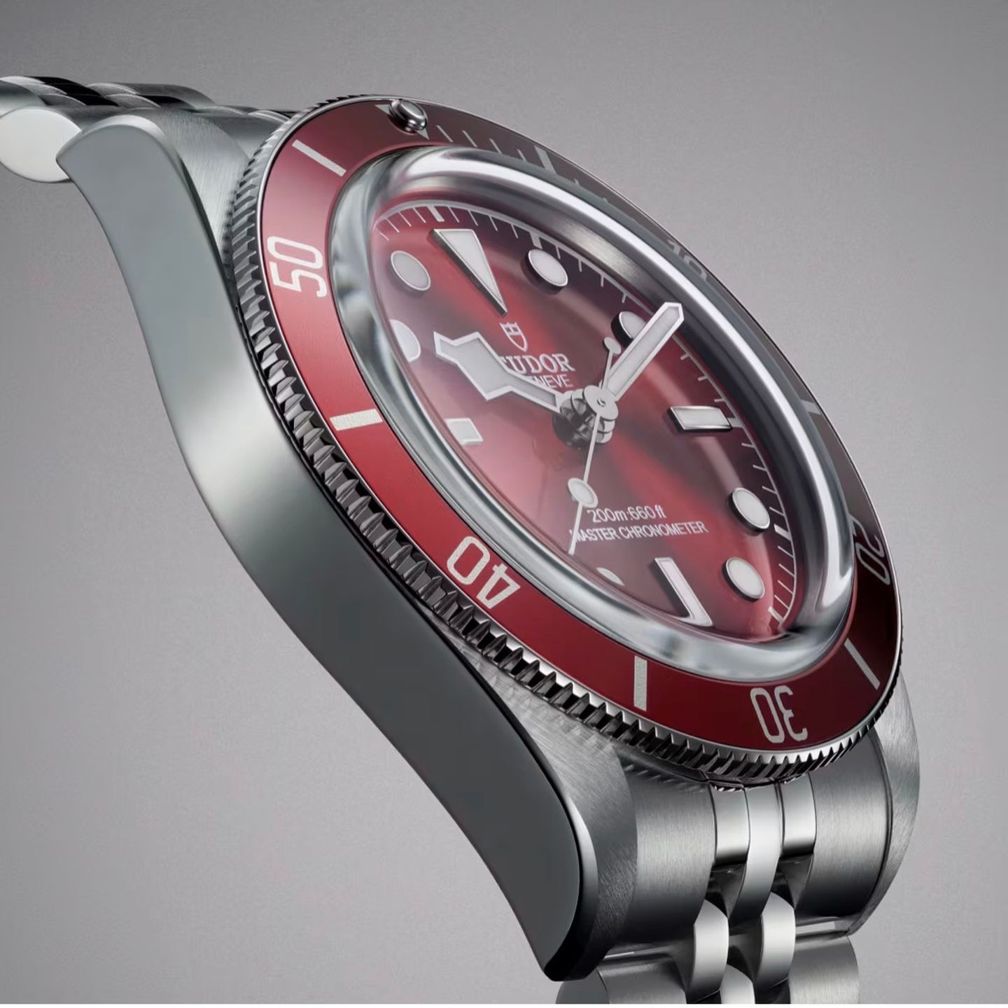 Tudor Black Bay Fifty-Eight 7939A1A0RU (2026) - Red dial 39 mm Steel case (3/3)