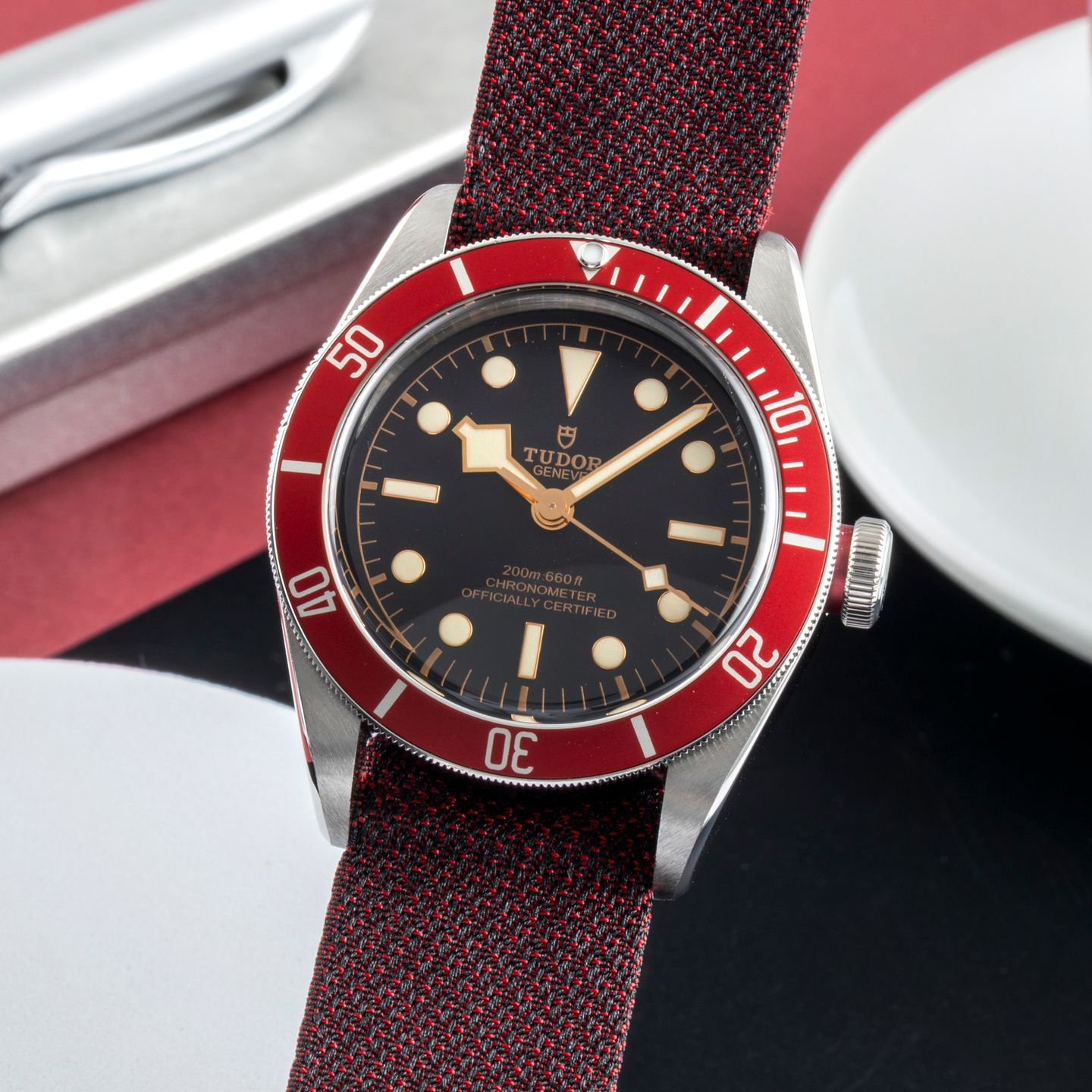 Tudor Black Bay 79230R - (3/8)