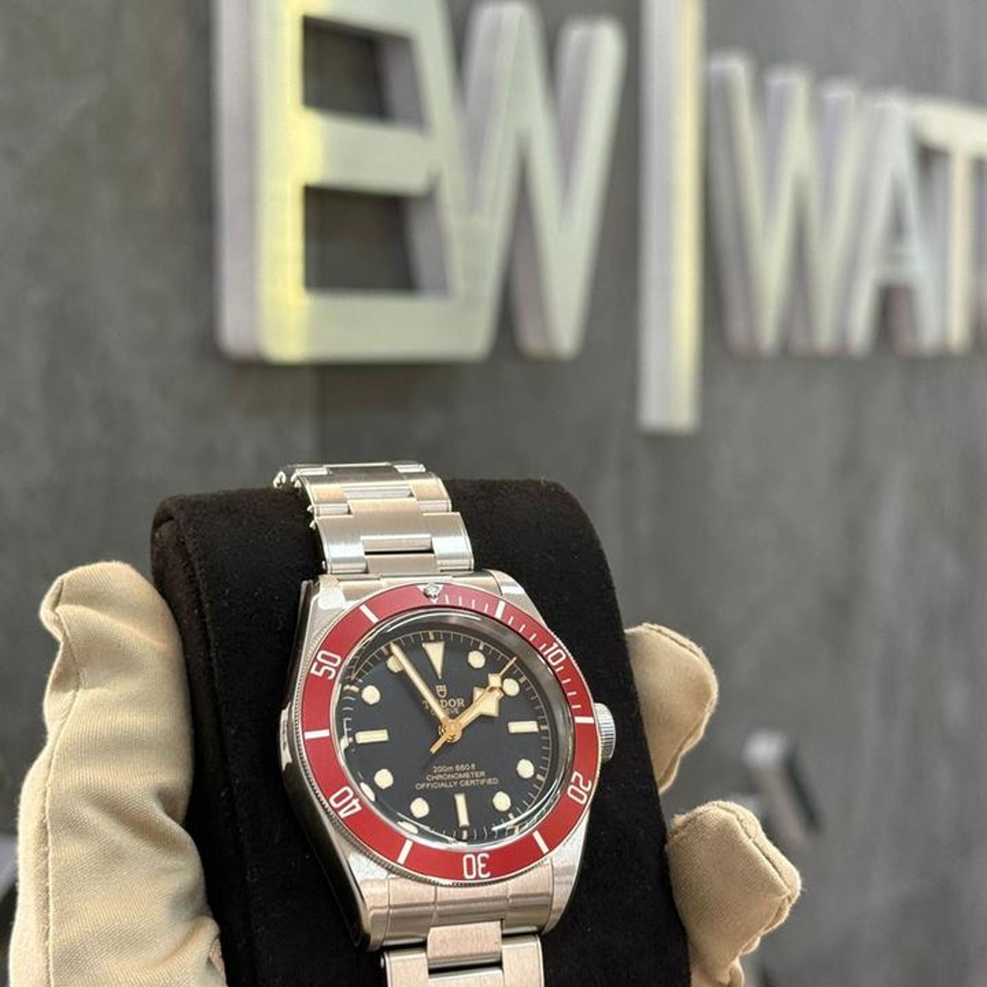 Tudor Black Bay 79230R - (7/10)