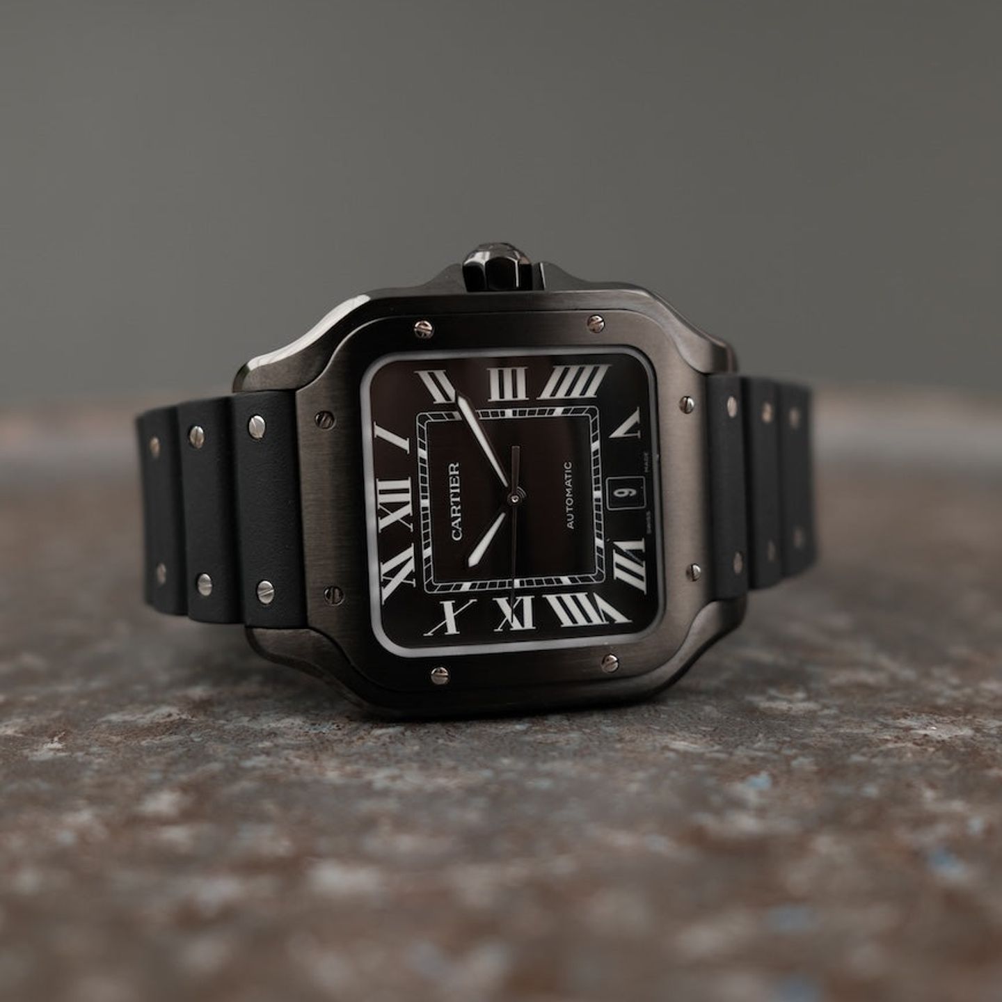 Cartier Santos WSSA0039 - (2/8)