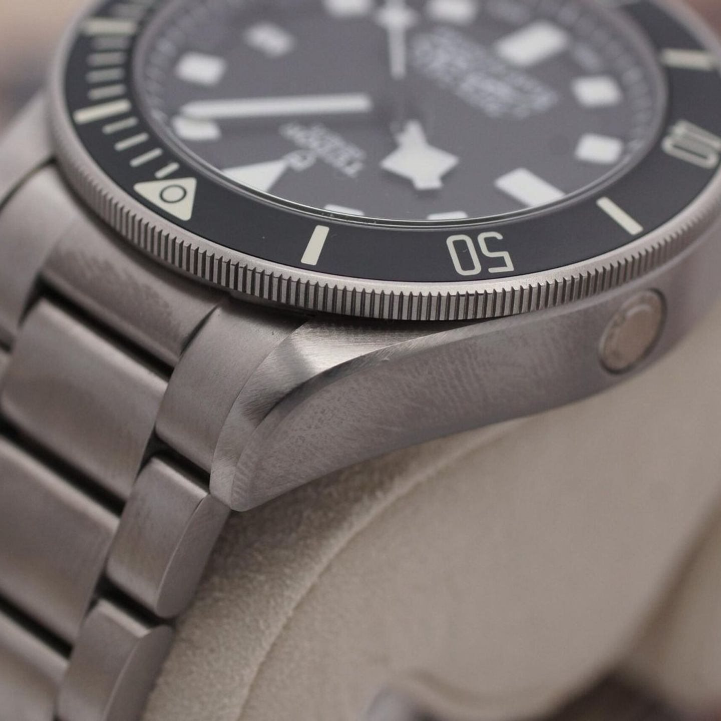 Tudor Pelagos 25600TN - (8/8)