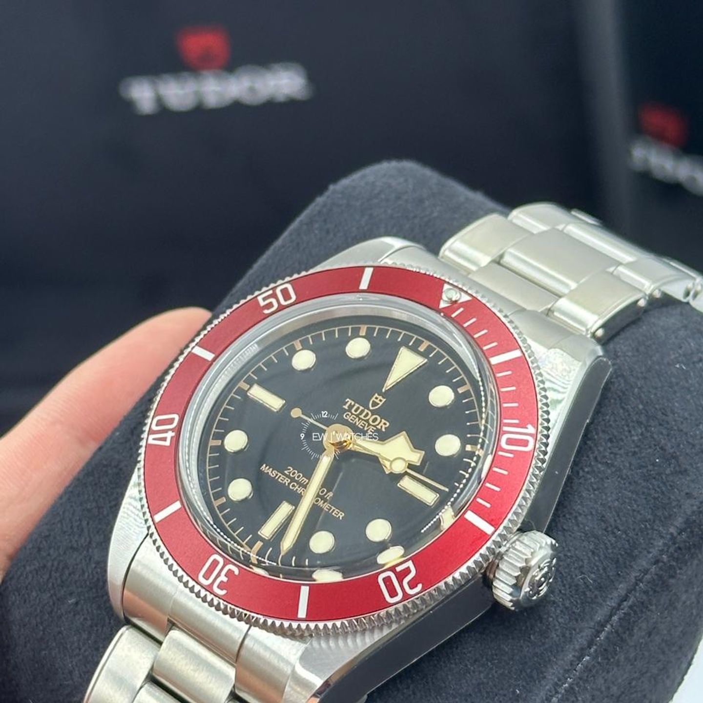Tudor Black Bay 7941A1A0RU - (2/10)