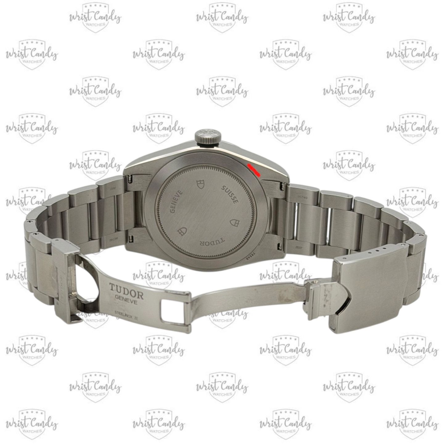 Tudor Black Bay 41 79540 - (7/8)