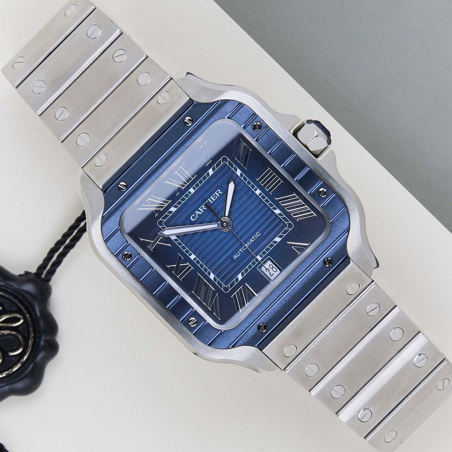 Cartier Santos WSSA0048 - (1/8)