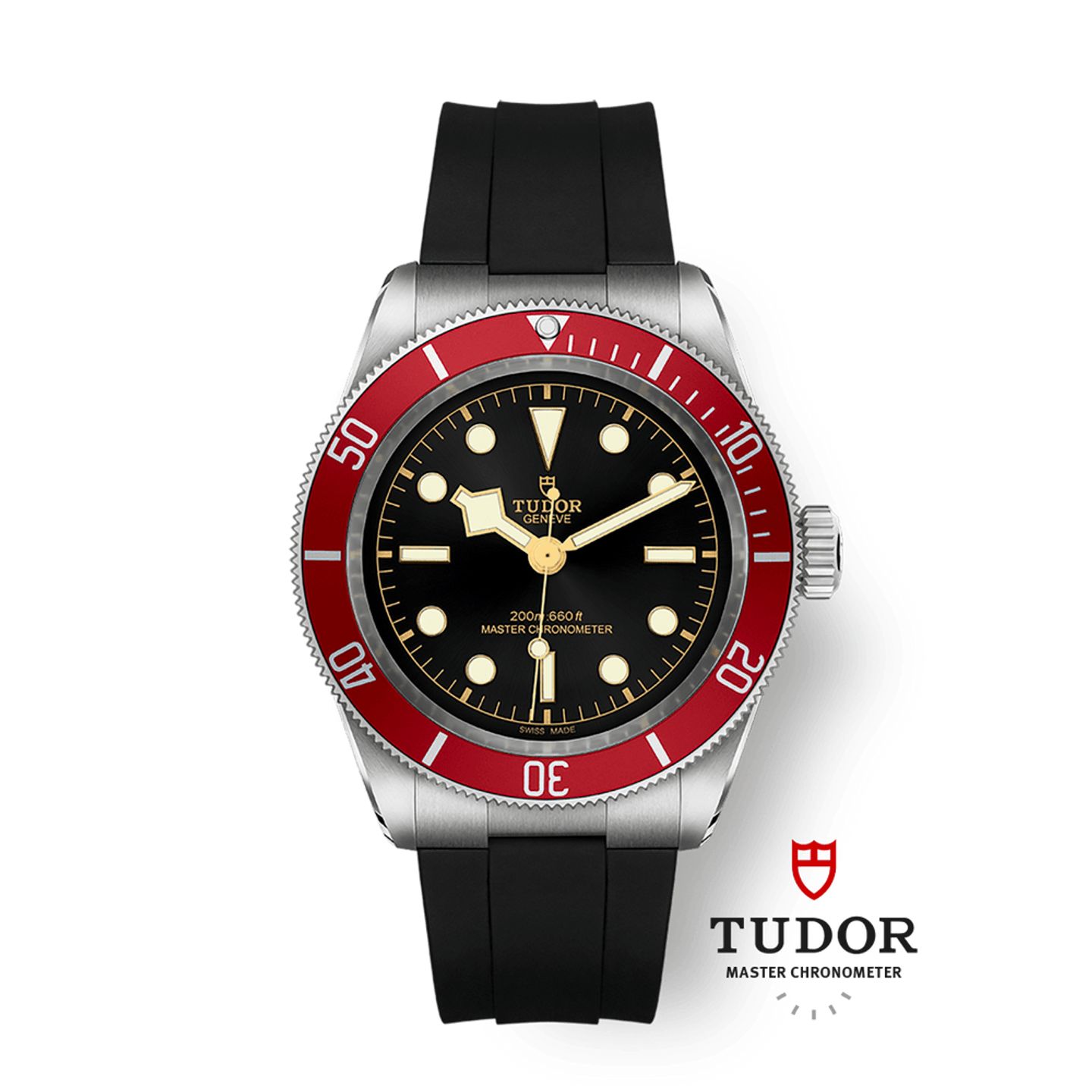 Tudor Black Bay 41 7941A1A0RU (2025) - Zwart wijzerplaat 41mm Staal (1/1)