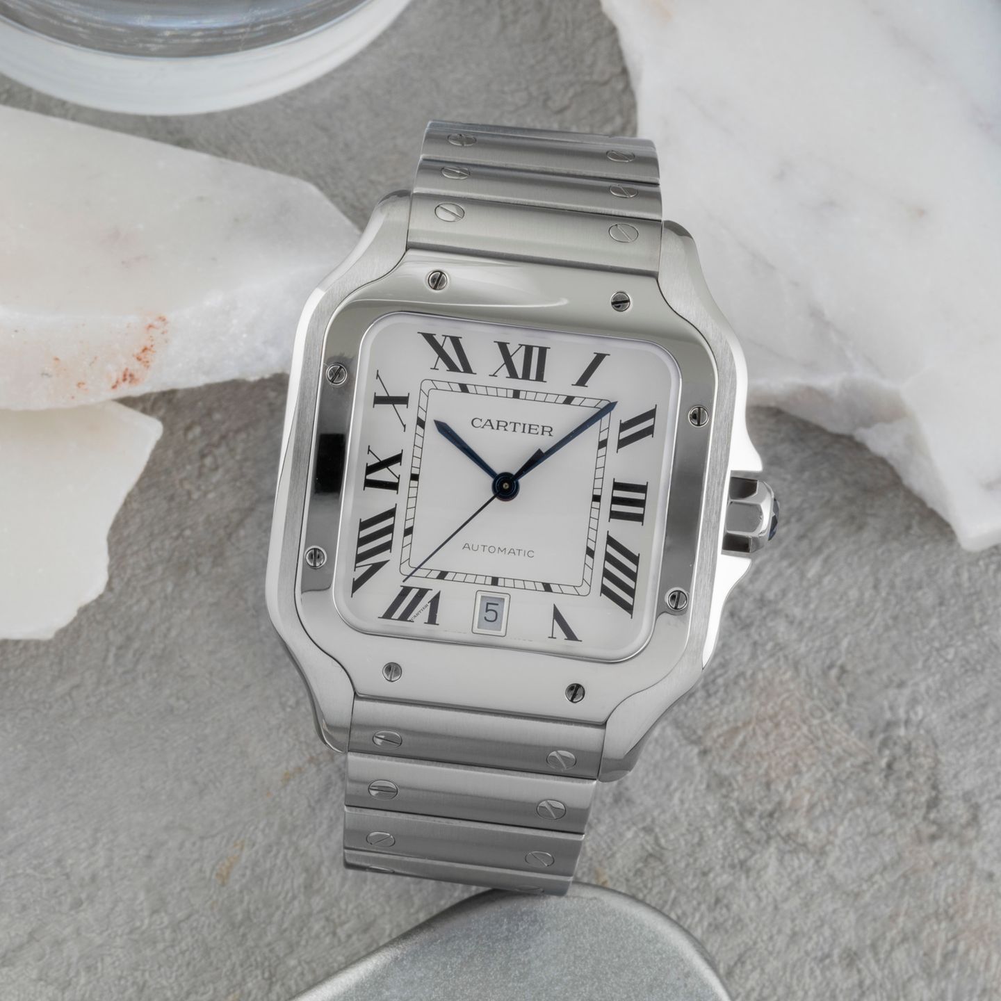 Cartier Santos WSSA0009 - (1/8)