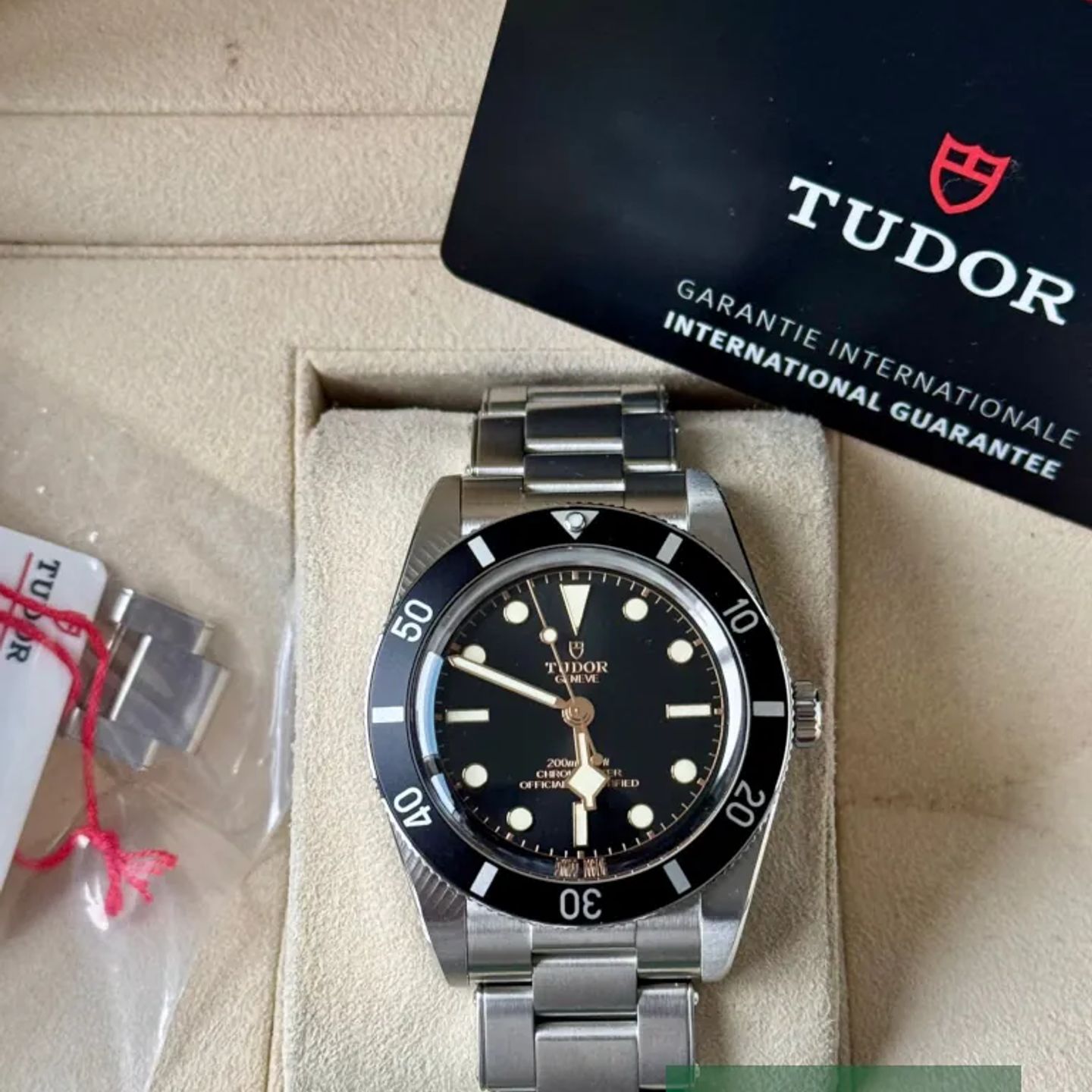 Tudor Black Bay 54 79000N - (7/7)