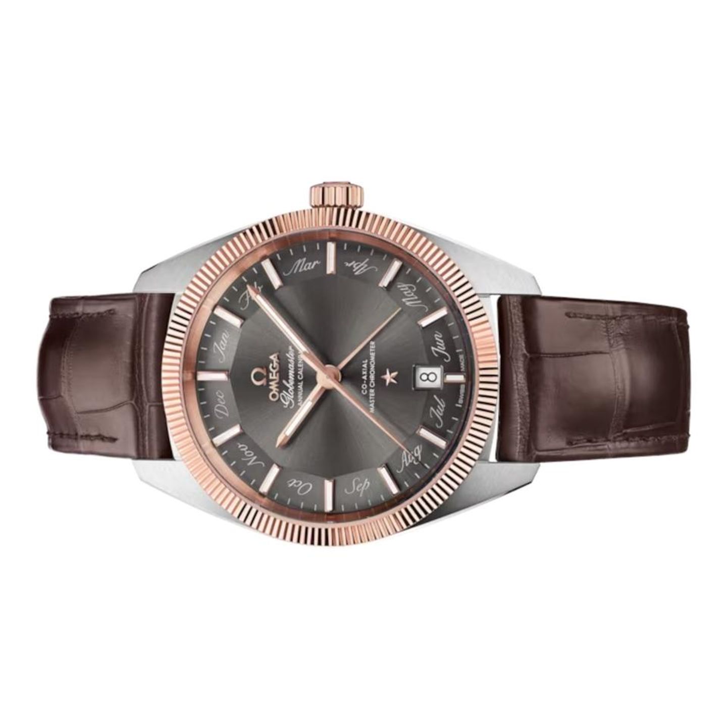 Omega Globemaster 130.23.41.22.06.001 (2025) - Grey dial 41 mm Steel case (10/12)