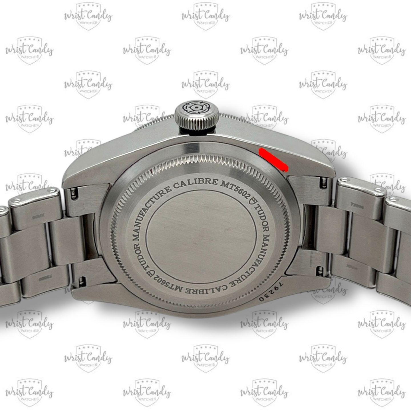 Tudor Black Bay 79230N - (6/8)