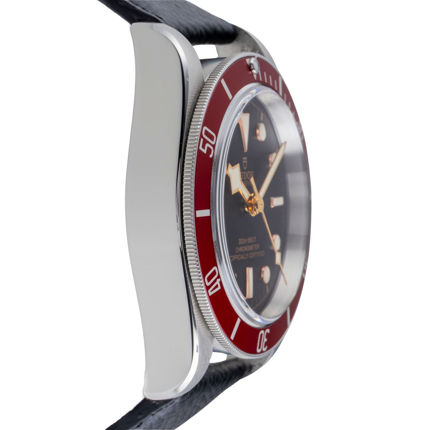 Tudor Black Bay 79230R - (7/8)