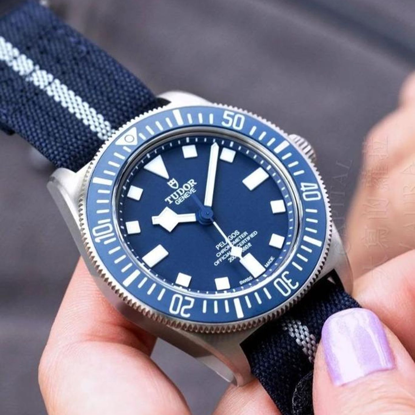 Tudor Pelagos 25707B/25 - (2/4)