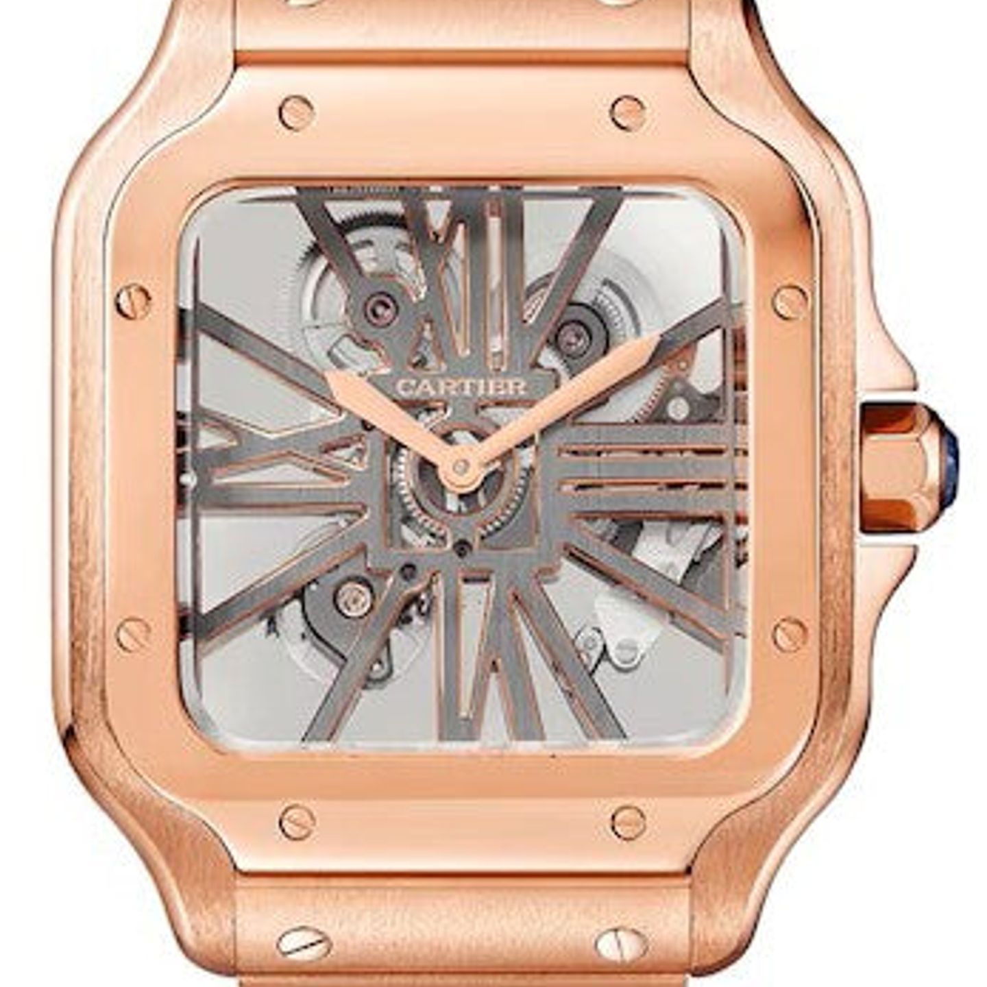 Cartier Santos WHSA0016 (2025) - Transparent dial 48 mm Rose Gold case (1/1)