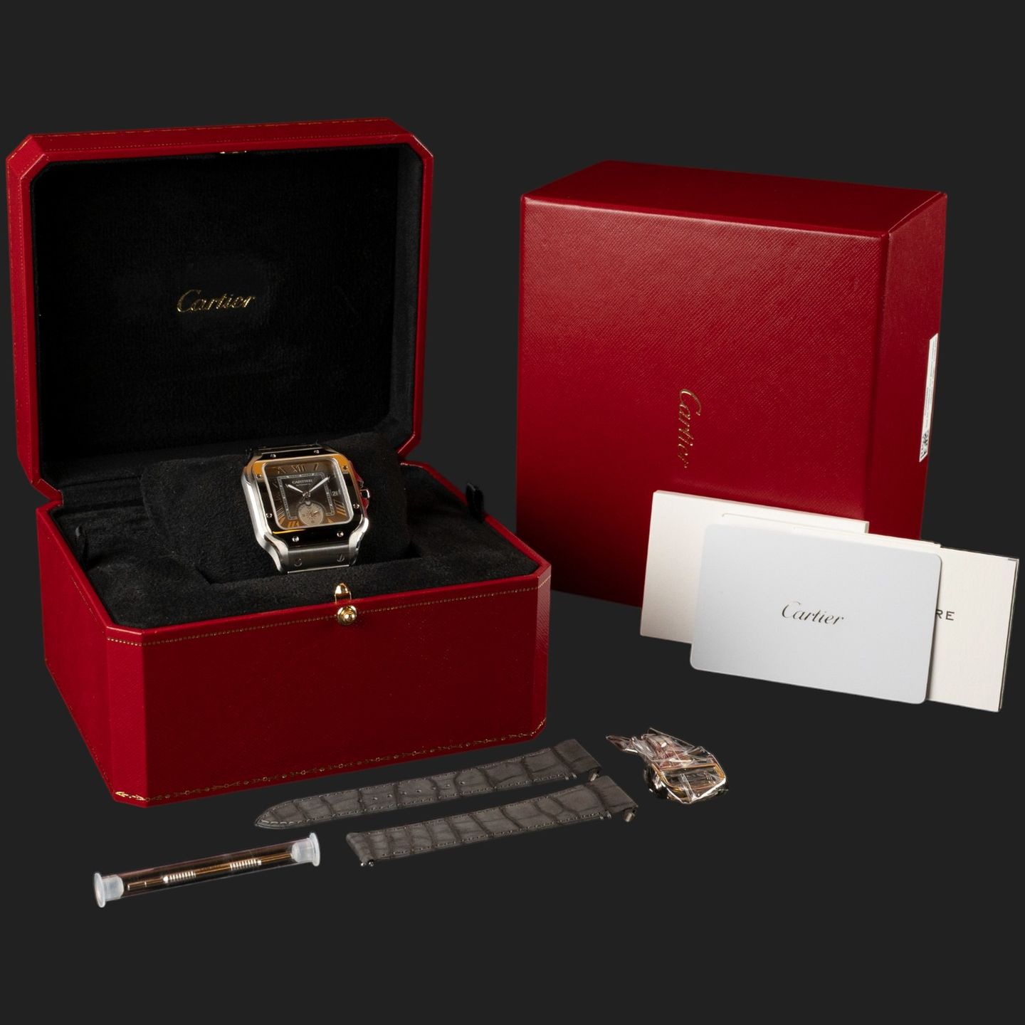 Cartier Santos WSSA0076 - (8/8)