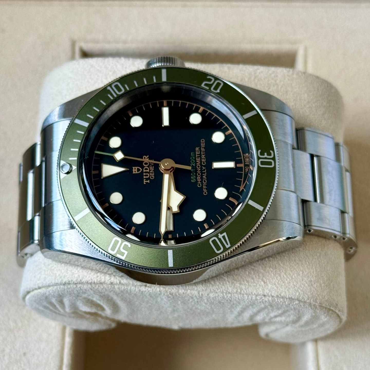 Tudor Black Bay 79230G - (5/7)