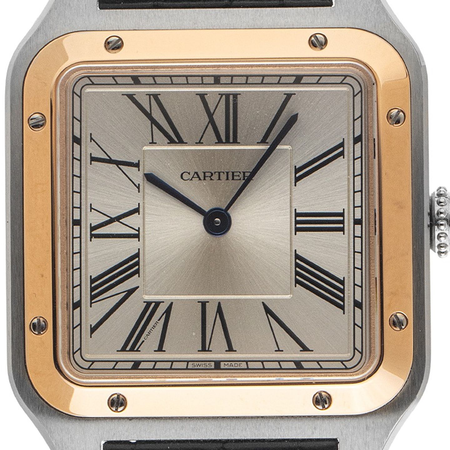 Cartier Santos Dumont W2SA0037 - (1/8)
