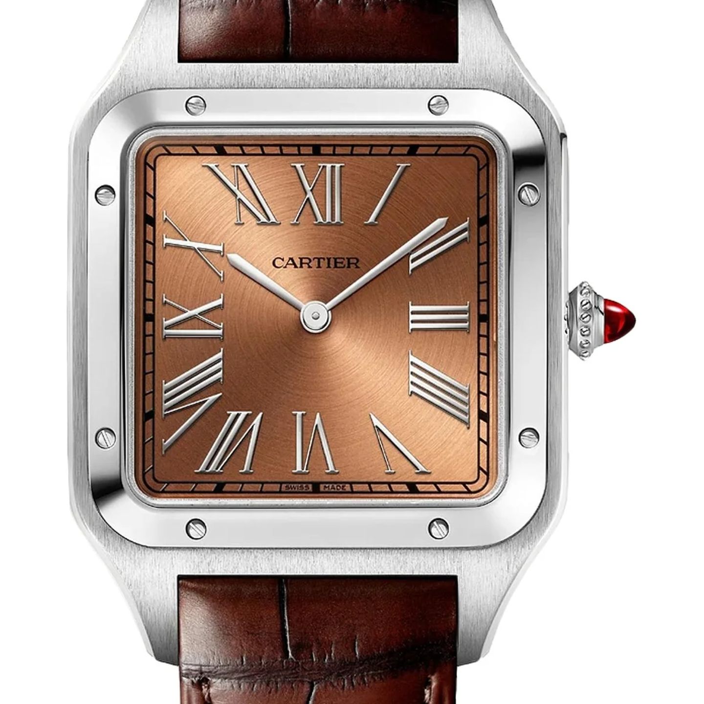 Cartier Santos Dumont WGSA0113 - (1/1)