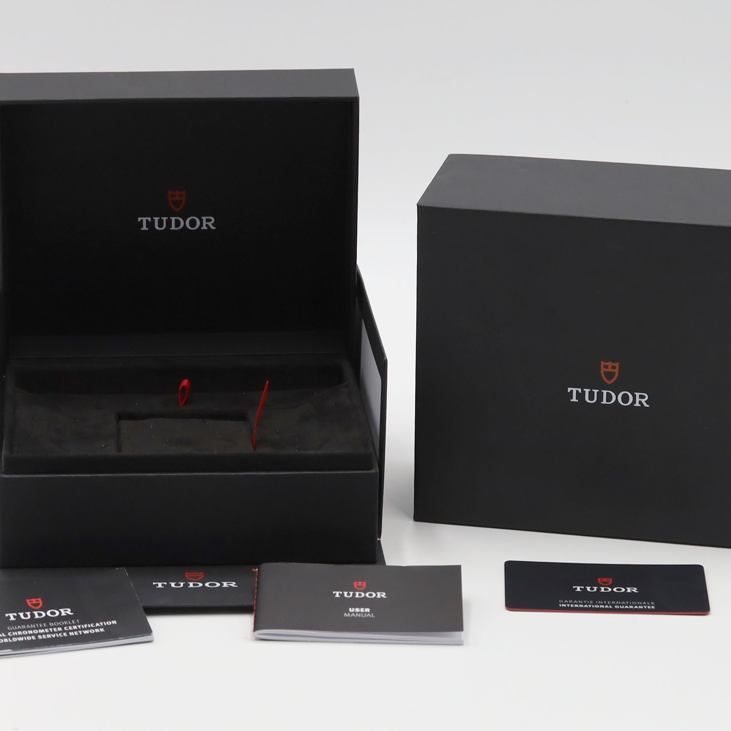 Tudor Black Bay S&G 79683 - (8/8)