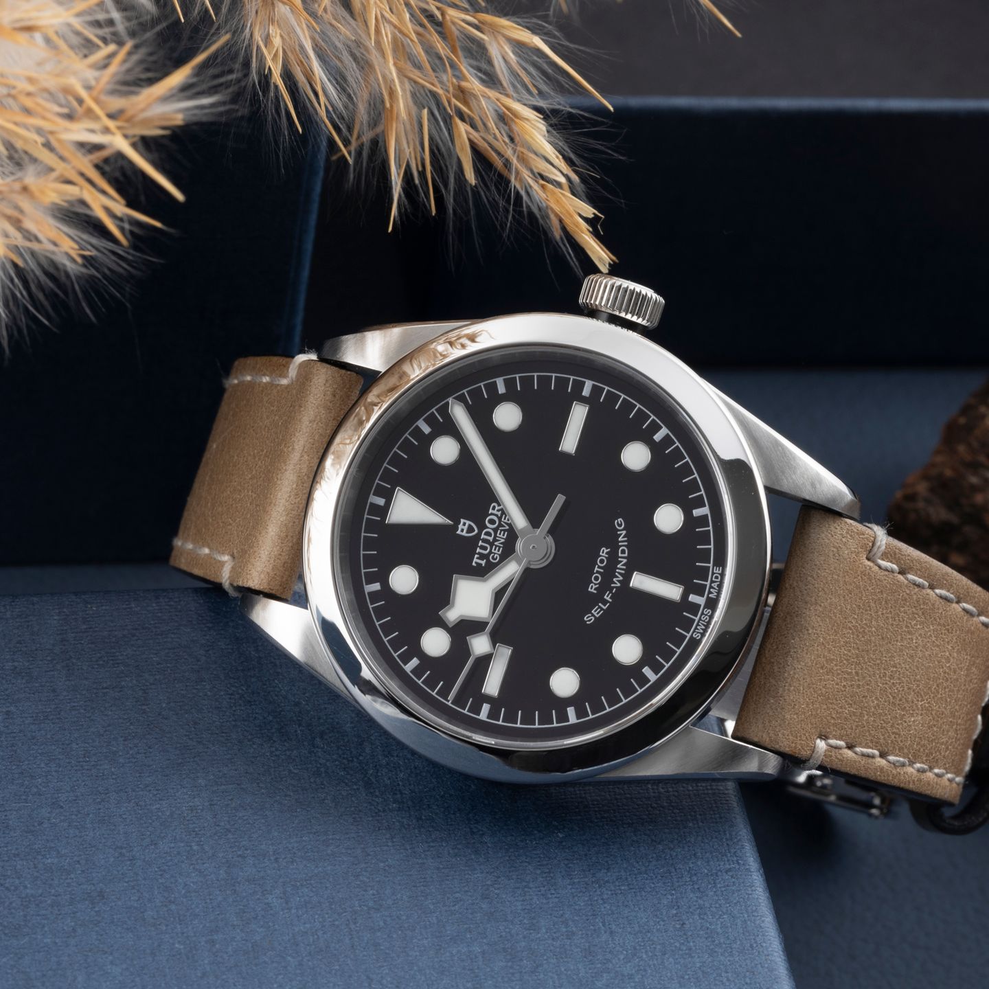 Tudor Black Bay 36 79500 - (2/8)