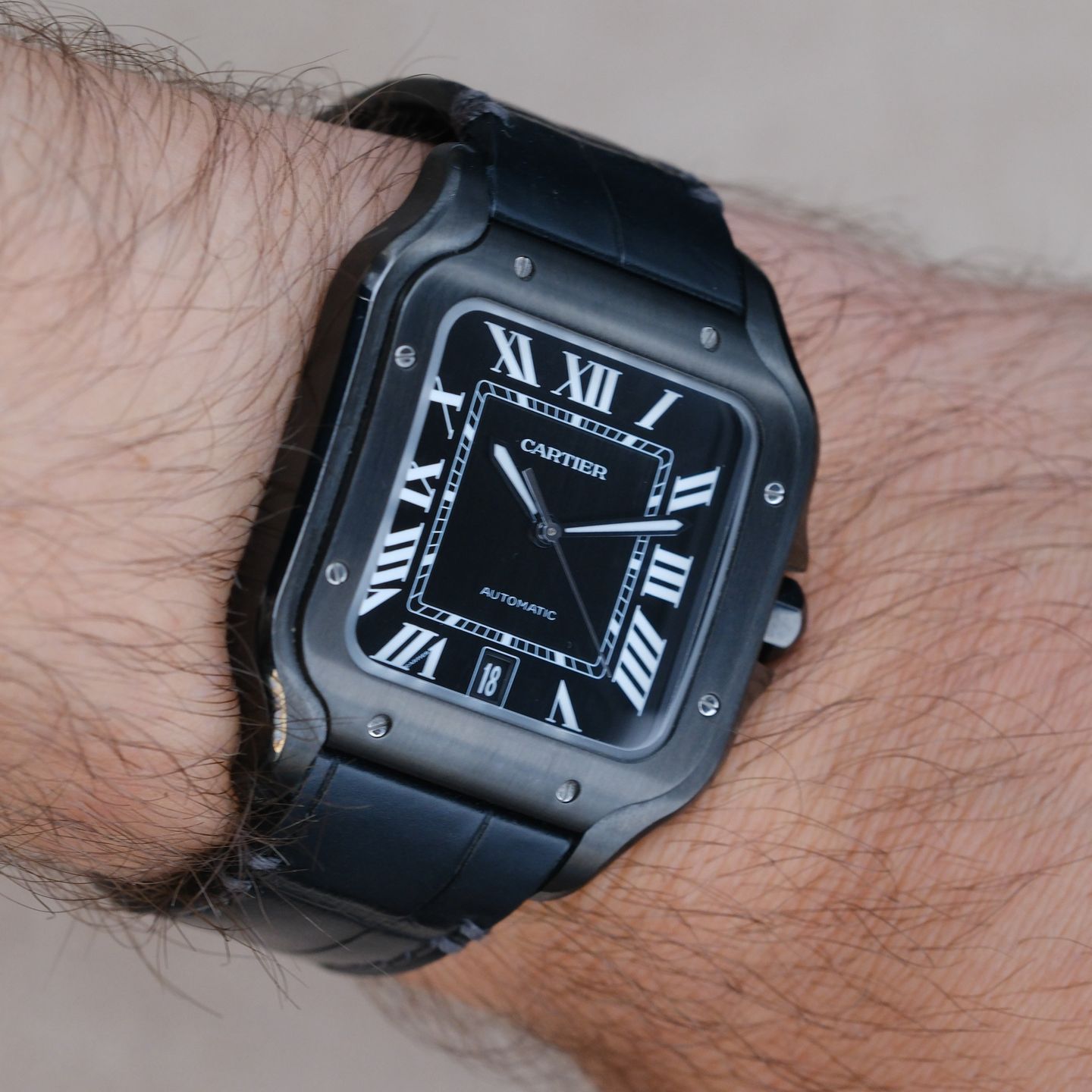 Cartier Santos WSSA0039 - (4/4)