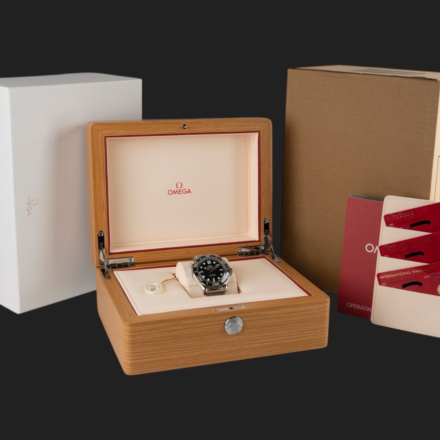 Omega Seamaster Diver 300 M 210.30.42.20.01.010 (2026) - Black dial 42 mm Steel case (8/8)