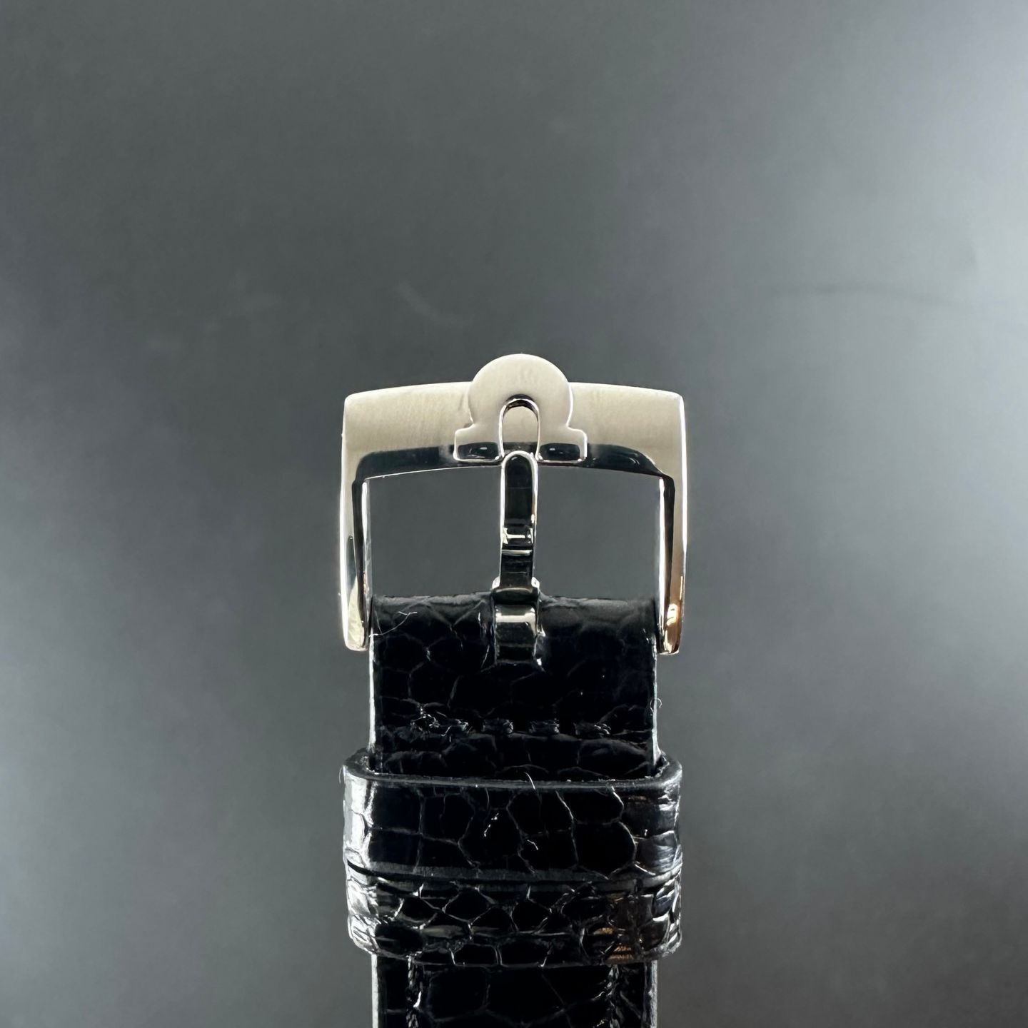 Omega Seamaster 165.020 - (7/8)