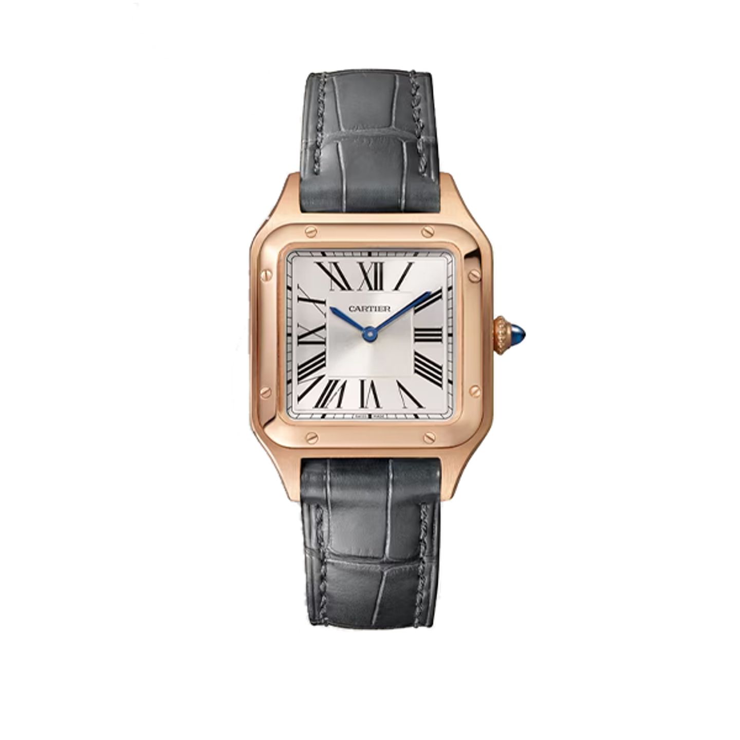 Cartier Santos Dumont WGSA0117 - (1/8)