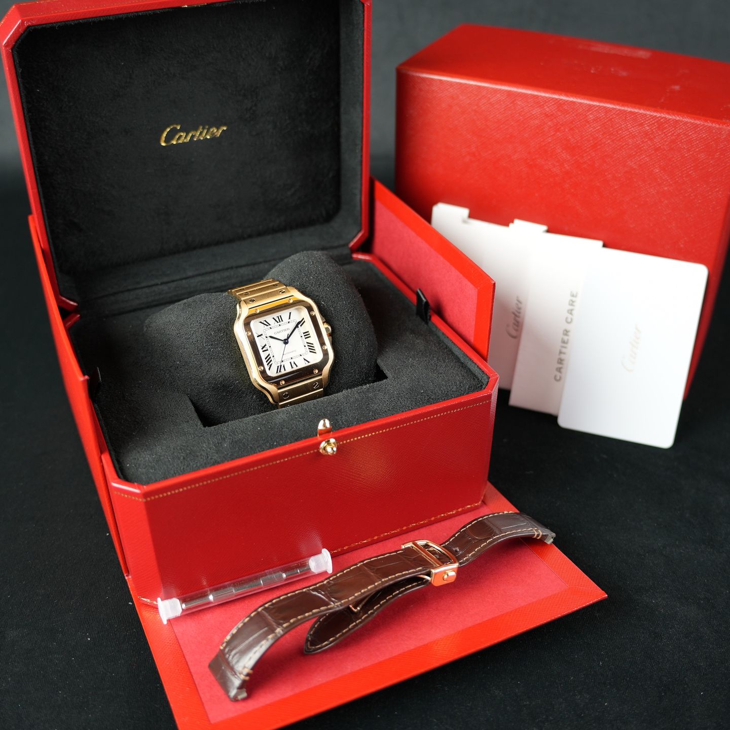 Cartier Santos WGSA0030 - (8/8)