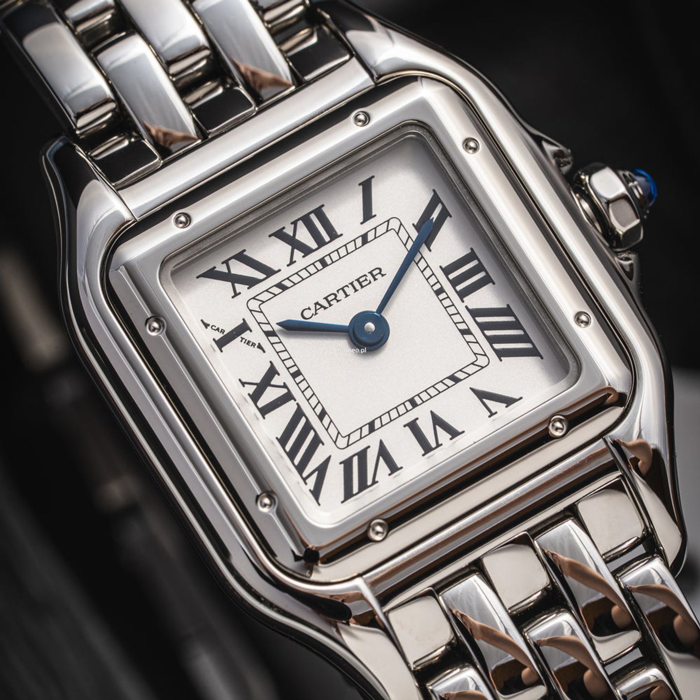 Cartier Panthère WSPN0013 (2025) - Silver dial 23 mm Steel case (2/7)