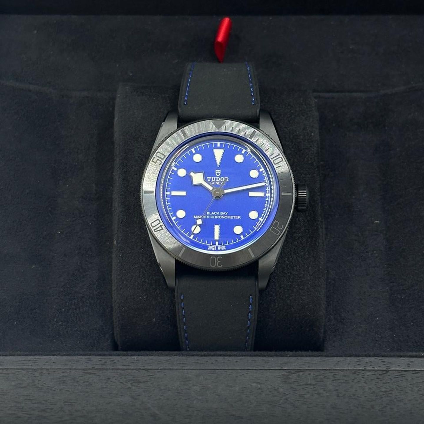 Tudor Black Bay 79210CNU - (4/10)