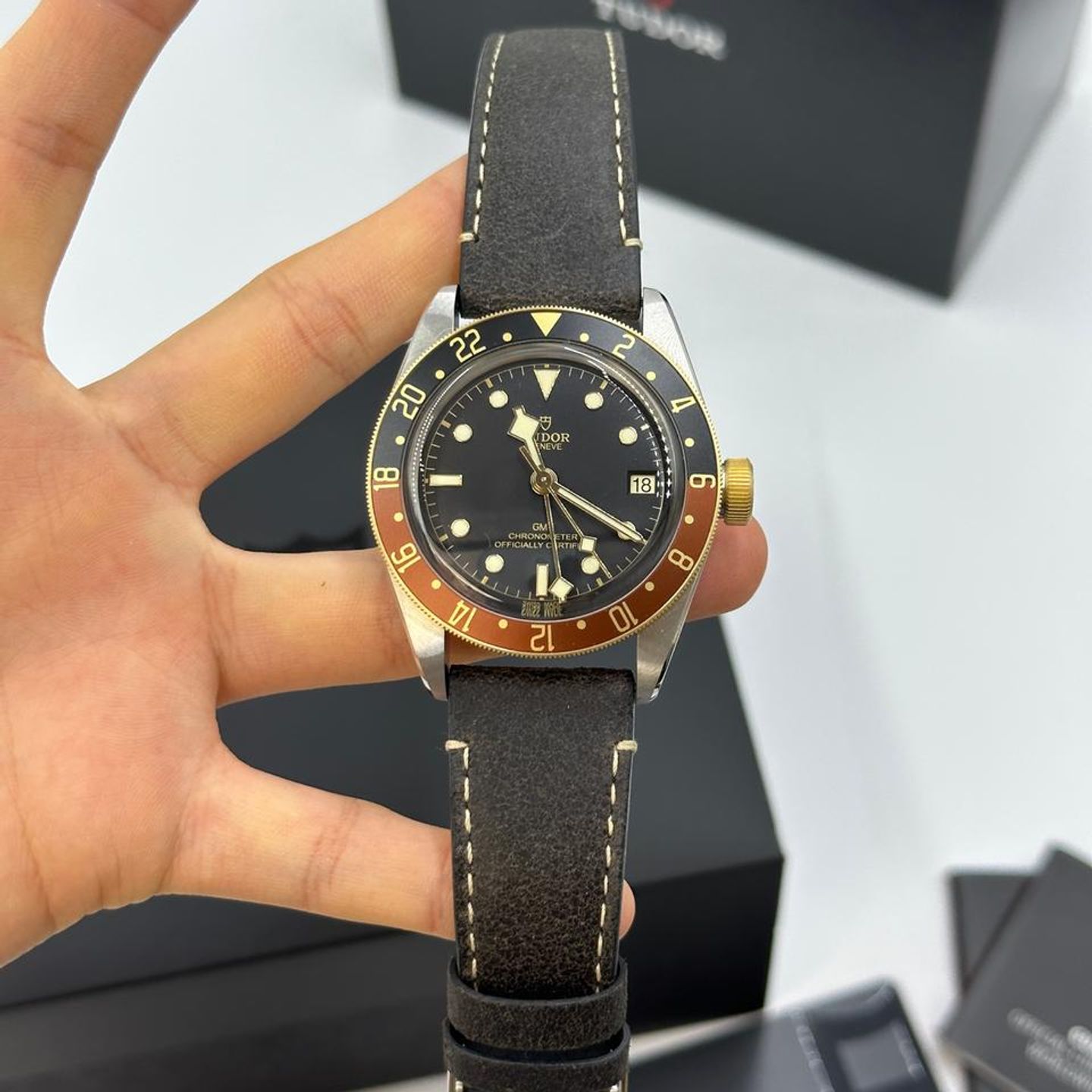 Tudor Black Bay 79833MN - (9/10)