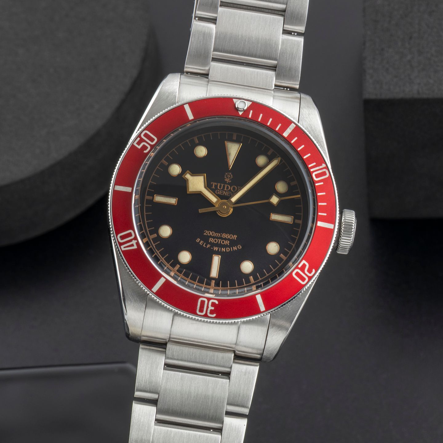 Tudor Black Bay 79220R - (3/8)