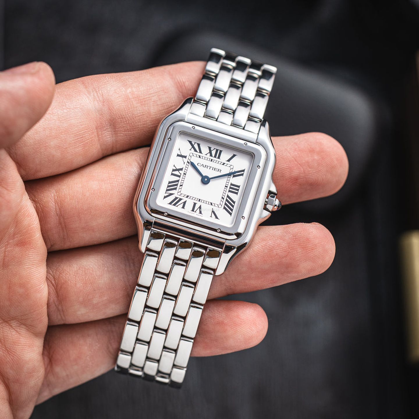 Cartier Panthère WSPN0011 (2025) - Zilver wijzerplaat 31mm Staal (4/7)