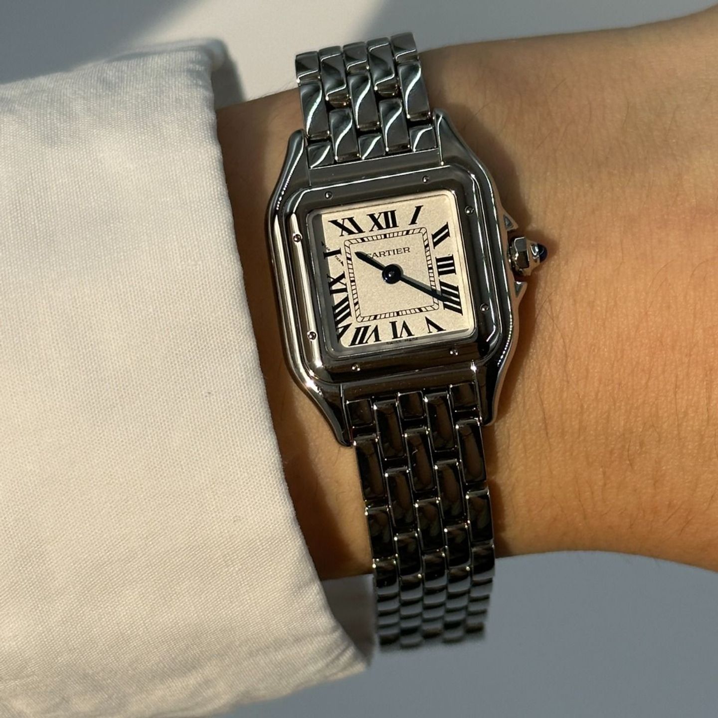 Cartier Panthère WSPN0006 (2024) - Silver dial 22 mm Steel case (2/8)