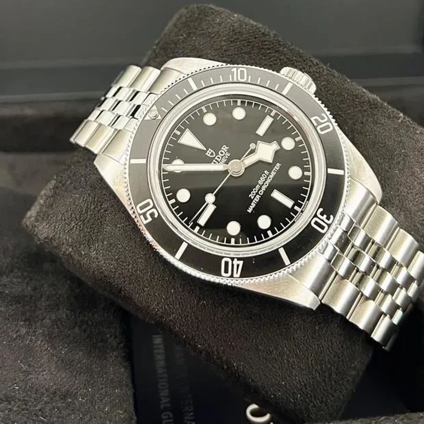 Tudor Black Bay 7941A1A0NU - (6/6)