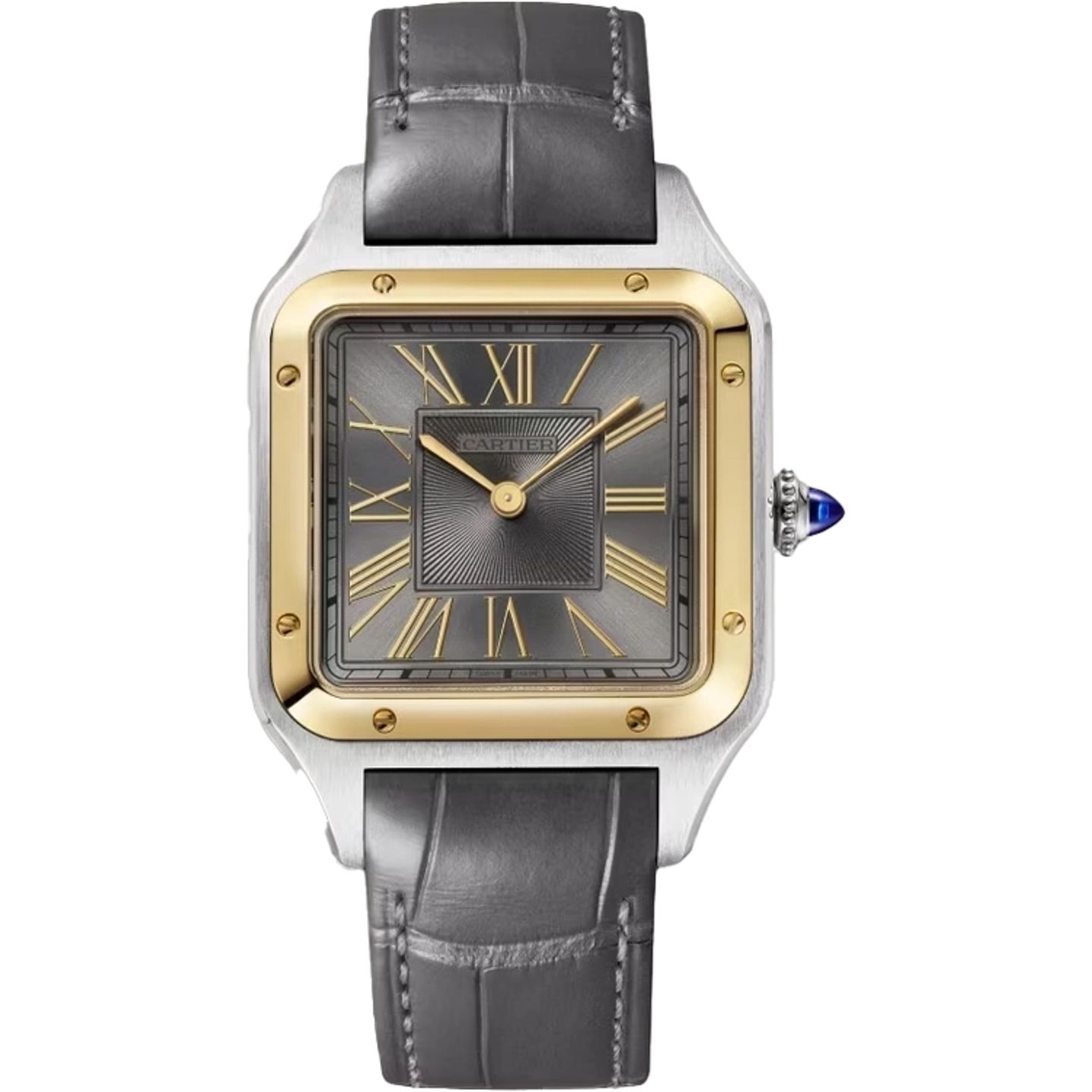 Cartier Santos Dumont W2SA0036 (2025) - Grey dial 44 mm Steel case (1/1)