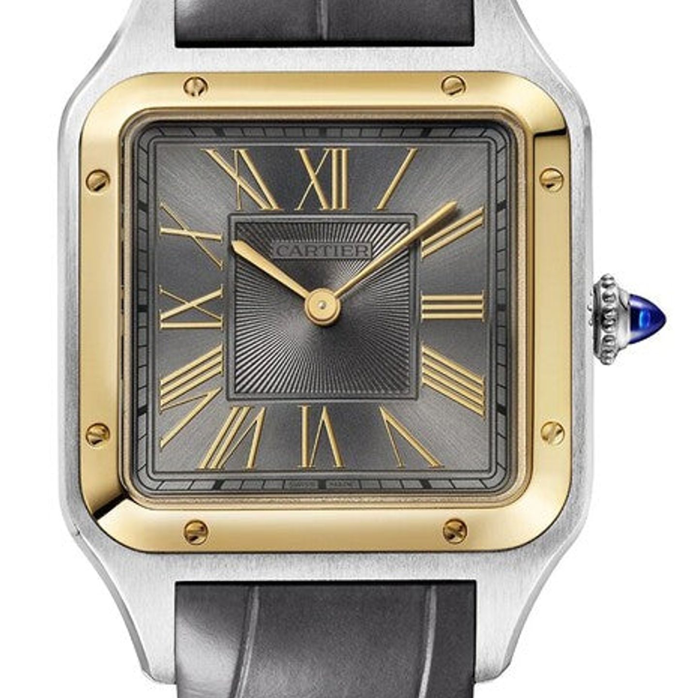 Cartier Santos Dumont W2SA0036 (2026) - Grey dial 44 mm Steel case (1/1)