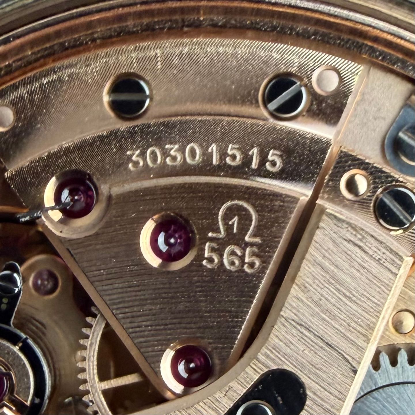 Omega Genève 166.070 (1970) - White dial 35 mm Steel case (4/8)