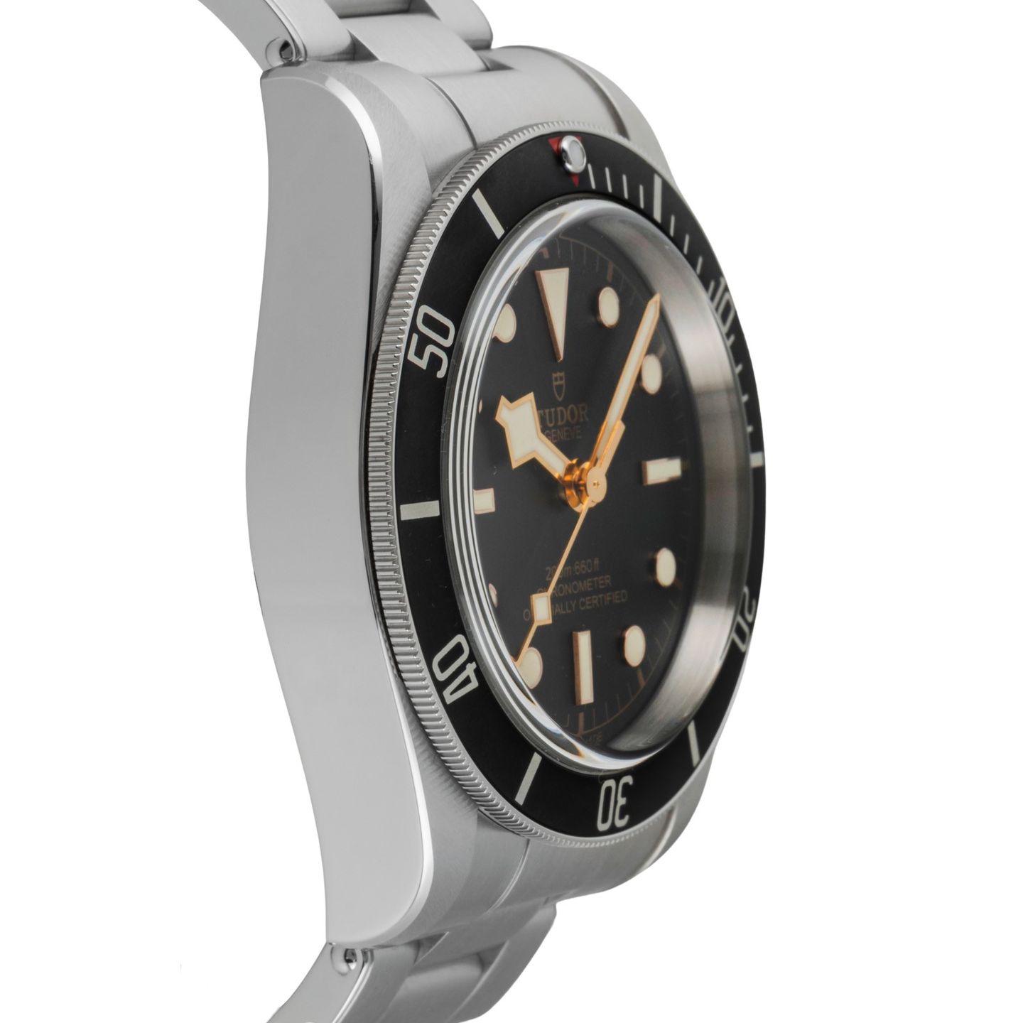 Tudor Black Bay 79230N - (7/8)