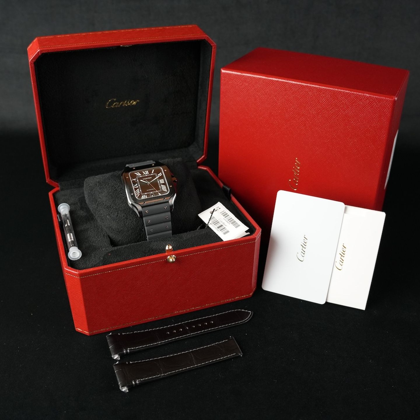 Cartier Santos WSSA0039 - (8/8)